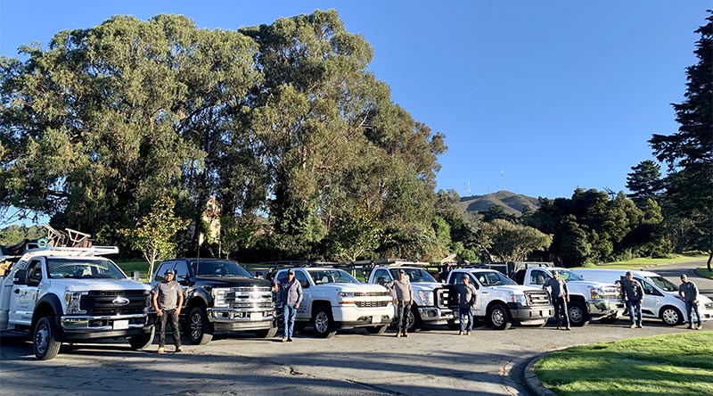Residential and Commercial landscaping and landscape construction for San Francisco and the whole Bay Area.